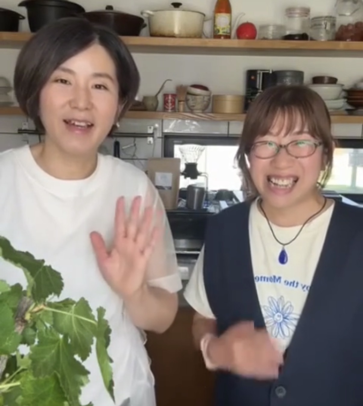 個別サポート付きプラン